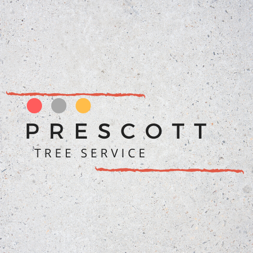Business directory image